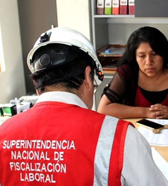 Dirección de Inteligencia Inspectiva