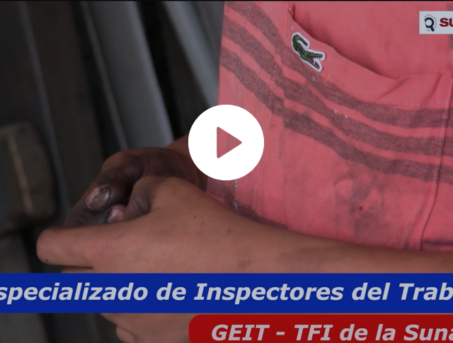 Grupo Especializado de Inspectores del Trabajo Infantil y Forzoso
